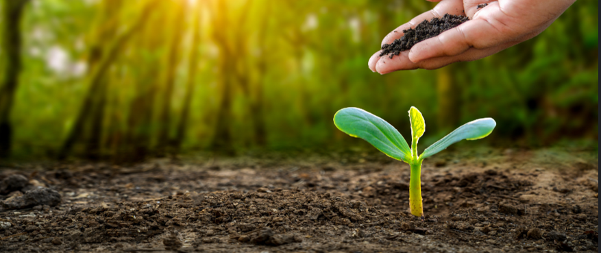 Cercetarea privind eficienței soluțiilor bazate pe natură implementate în Regiunea Centru, promovată pe platforma europeană CORDIS